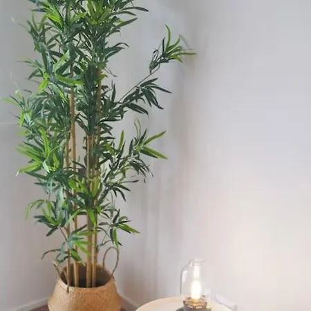 דירה Domus Piramide רומא